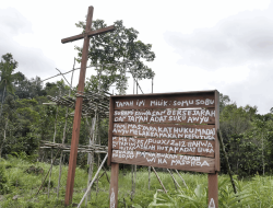 Palang Adat dan Salib Merah, Cara Masyarakat Papua Menolak Perampasan Tanah